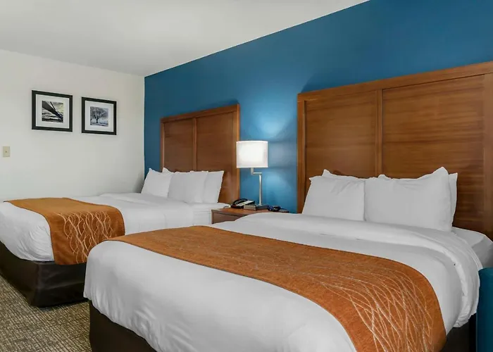 Comfort Inn East