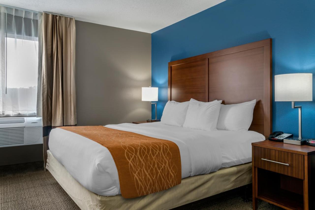 Comfort East 2*