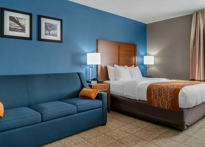 Comfort Inn East